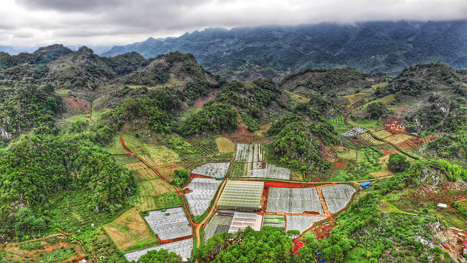 Hình ảnh chụp Trang trại dâu tây Chimi từ trên cao