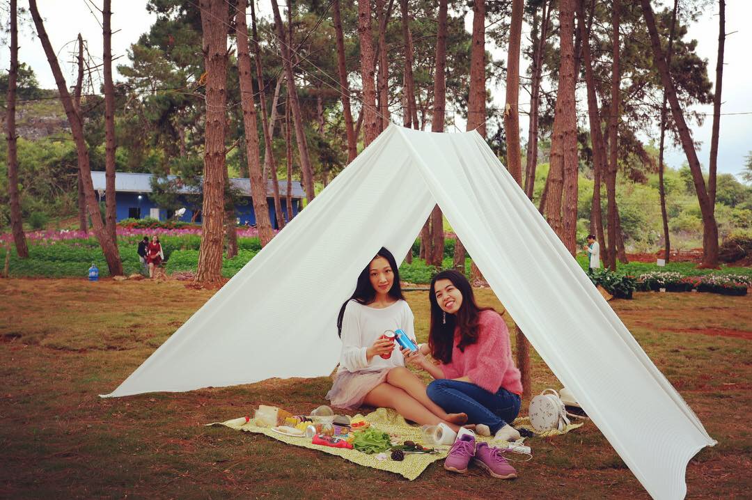 Bạn có thể đến Chimi Farm cắm trại trên bãi cỏ