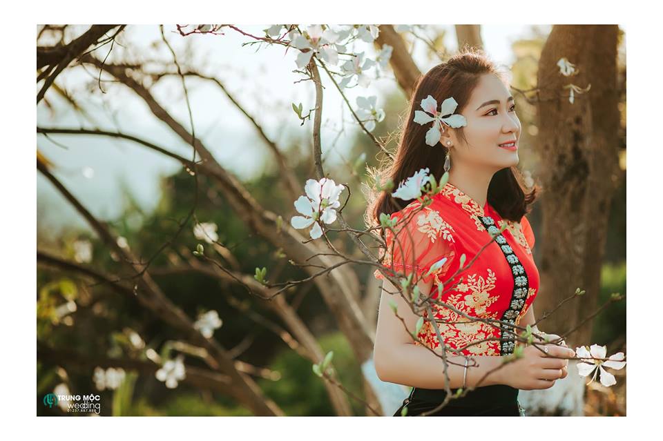 Cô gái Thái bên nhành hoa ban trắng của núi rừng - Ảnh Trung Mộc