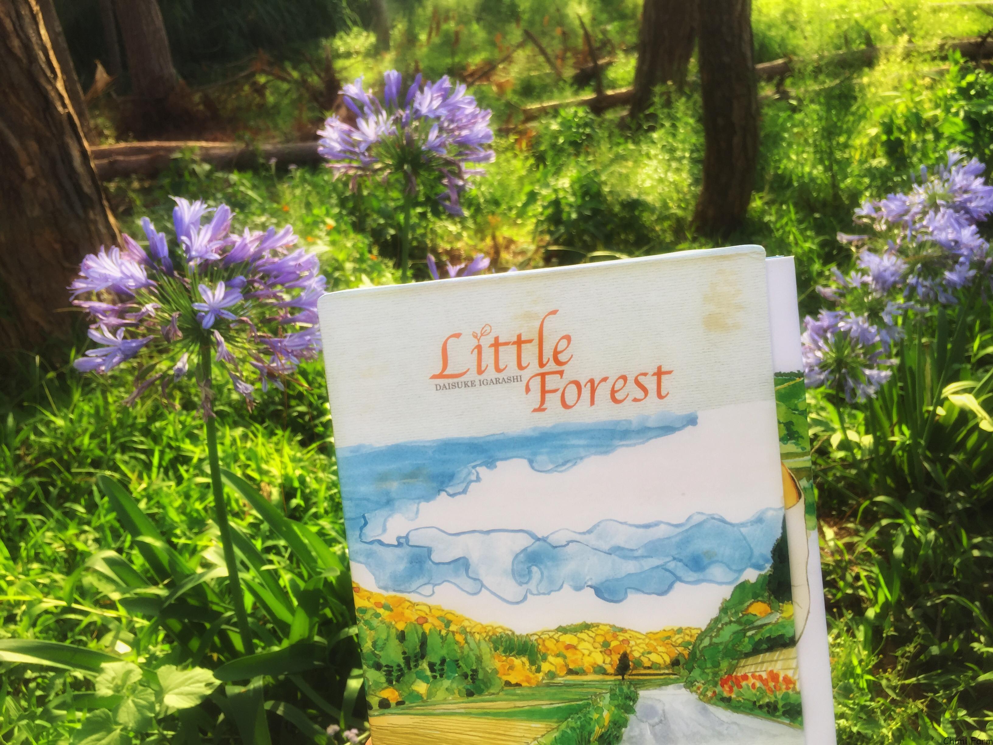 Little forest - Trong tâm hồn mỗi người đều có một Khu rừng nhỏ