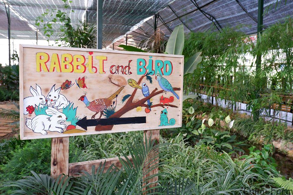 Vườn chim và thỏ của Chimi Farm chính thức mở cửa tham quan