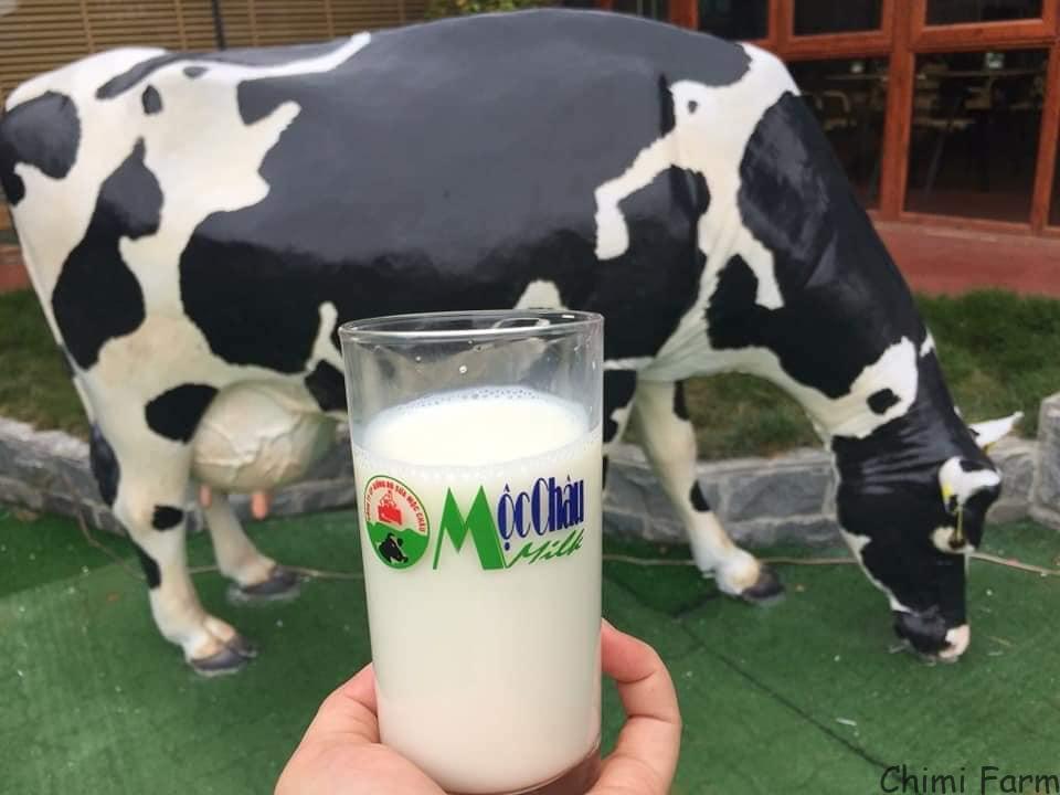 Sữa tươi Mộc Châu với giá chỉ tầm 20.000đ/lít thích hợp để mua về làm quà