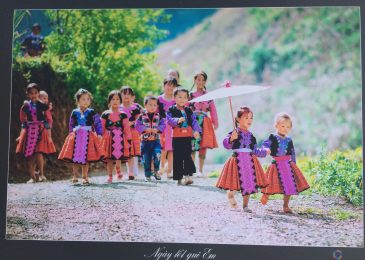 Trang trại dâu tây Chimi Mộc Châu tham gia Ngày hội văn hóa các dân tộc Mộc Châu 2017 (Chợ tình Mộc Châu)