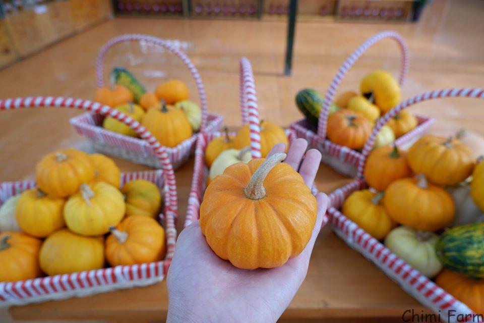 Bạn có thể sử dụng những trái bí để trang trí Halloween 
