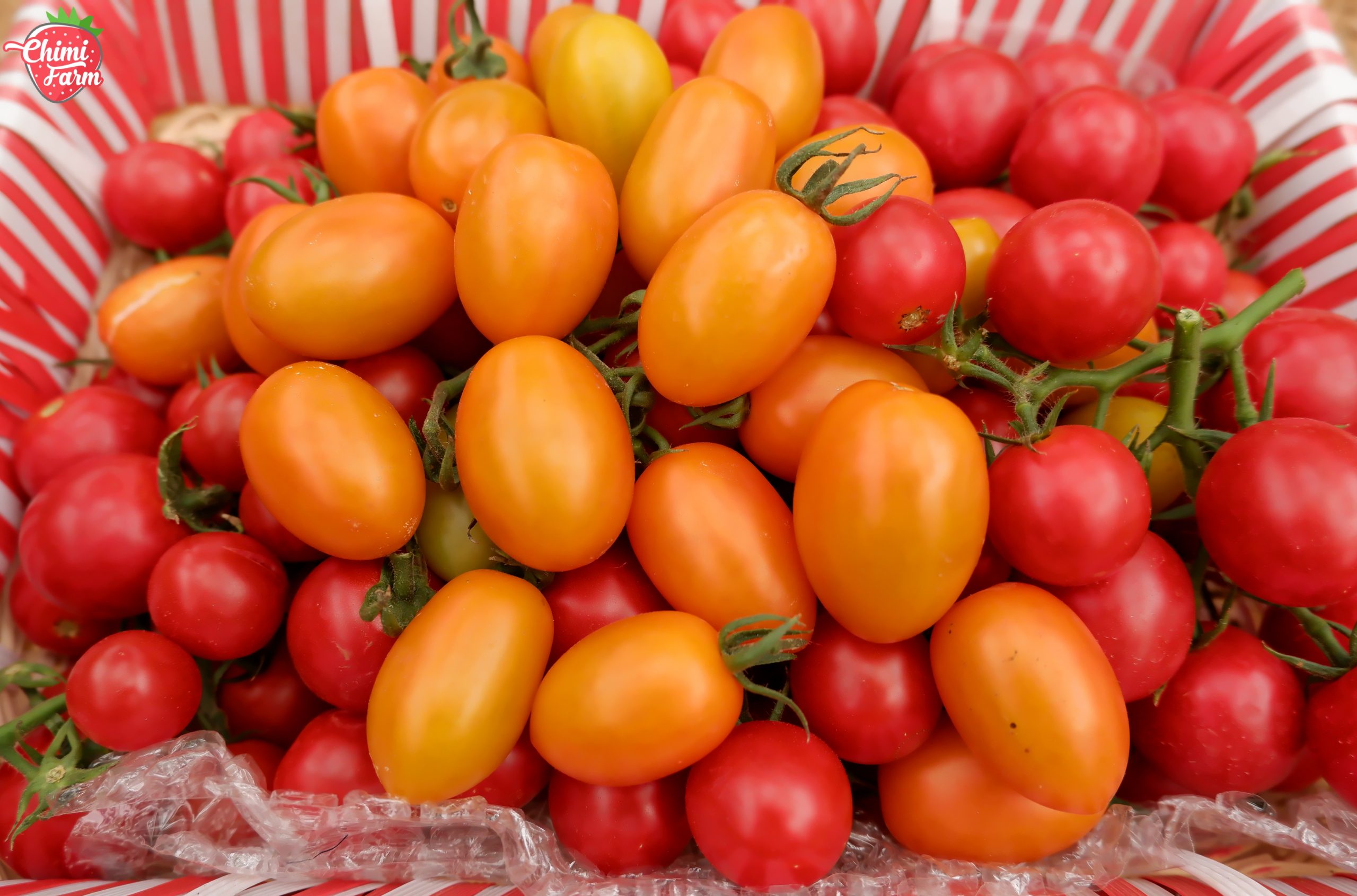 Cà chua cherry chứa vitamin A tốt cho thị lực của bạn
