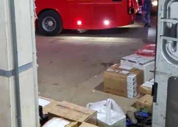 Vân chuyển dâu tây Chimi giá sỉ