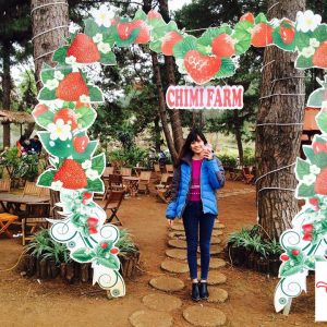 04 Hái dâu tây Chimi Farm Mộc Châu 4