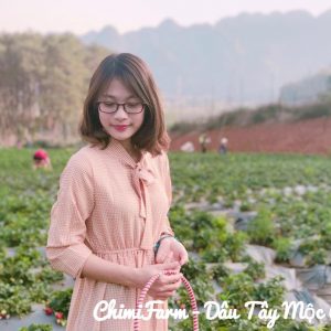 Hái dâu tây Mộc Châu tại Chimi Farm 3